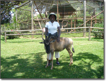 Jane at the Animal Orphanage