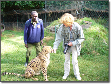 Iris with Cheetah Sultan