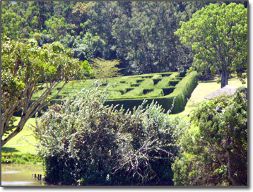 Hedge Maze at the Safari Club