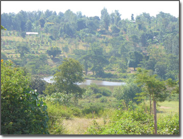 Kenya hillside