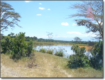 Watering hole in Kenya