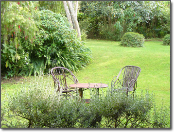 My own private garden