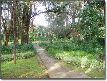 Grounds of the Safari Club