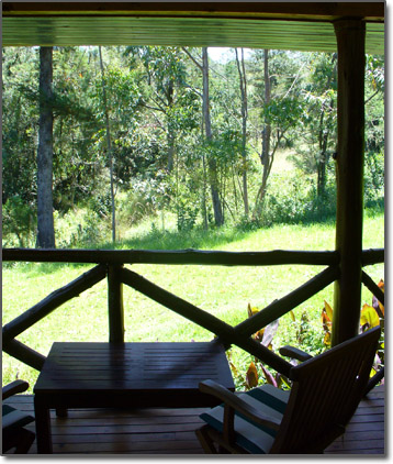 View from a room at the Safari Club