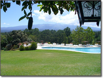 Pool at the Safari Club