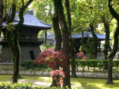 Buddhist Temple Fukuoka