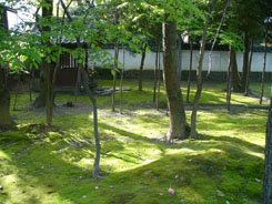 Buddhist temple Fukuoka