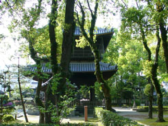 Japanese Buddha