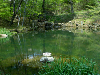 A small pond outside the Temple proper