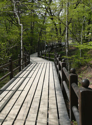 path to Haeinsa Buddhist Temple