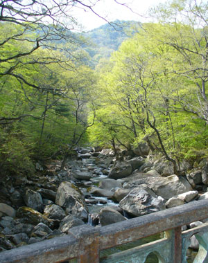 path to Haeinsa Buddhist Temple