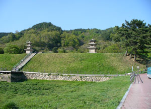 Famous Twin Pagodas